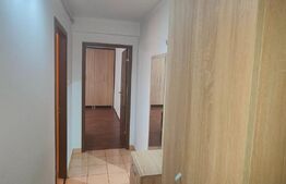 Apartament 1 camera, 40mp, etaj 1, mobilat, zona Avram Iancu