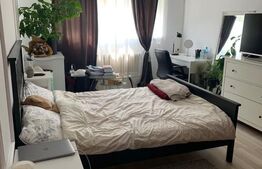 Apartament cu 1 cameră, 44 mp, etaj intermediar, Gruia 