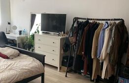 Apartament cu 1 cameră, 44 mp, etaj intermediar, Gruia 