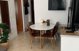 Apartament cu 1 cameră, 44 mp, etaj intermediar, Gruia 