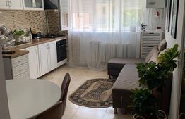 Apartament cu 1 cameră, 44 mp, etaj intermediar, Gruia 