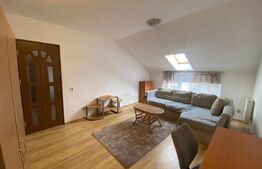 Apartament cu o camera, 40 mp, zona Izlazului