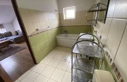 Apartament cu o camera, 40 mp, zona Izlazului