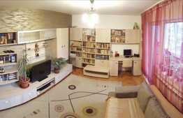 4 camere, 78 mp utili, mobilat, zona strazii Constantin Brancusi