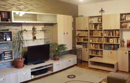 4 camere, 78 mp utili, mobilat, zona strazii Constantin Brancusi