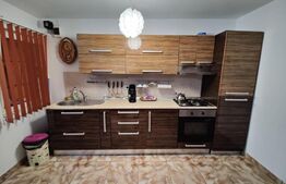 Apartament de 4 camere, 100 mp, gradina si parcare, zona Campului