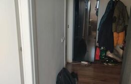 Apartament cu 1 camera, 38mp, etaj intermediar, orientare sud-vest, Dambovitei