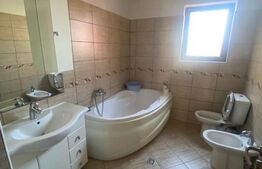 Apartament in vila, 3 camere, 107mp + 40 mp terasa Gruia 