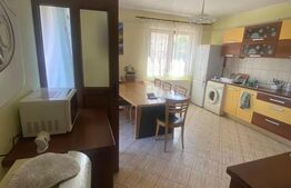 Apartament in vila, 3 camere, 107mp + 40 mp terasa Gruia 