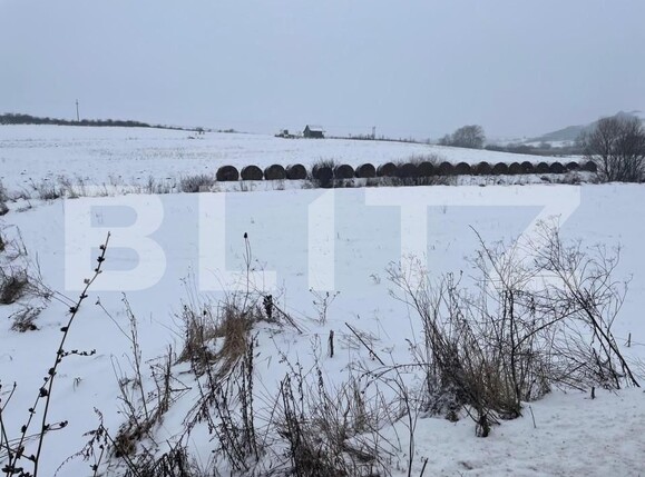 Teren de vânzare Chinteni - 142485TV | BLITZ Cluj-Napoca | Poza1