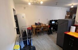 Apartament o cameră, 42 mp, Central