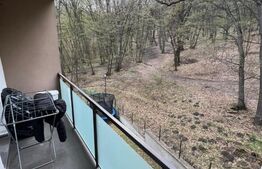 Apartament cu o camera, 37 mp, zona Edgar Quinet 