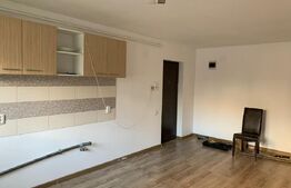 Apartament , 46 mp, Buna Ziua