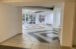 Spatiu comercial stradal, 166 mp, Marasti, ideal showroom