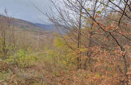 Teren de vânzare Someşu Rece, Cluj-Napoca