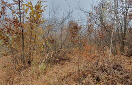 Teren Muntele Rece 3000mp, Intravilan utilitati