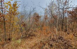 Teren Muntele Rece 3000mp, Intravilan utilitati