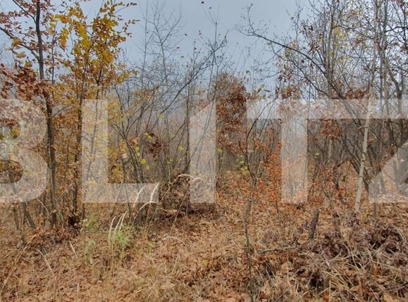 Teren de vânzare Someşu Rece - 142552TV | BLITZ Cluj-Napoca | Poza3