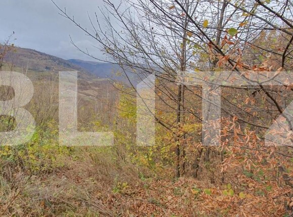 Teren de vânzare Someşu Rece - 142552TV | BLITZ Cluj-Napoca | Poza1
