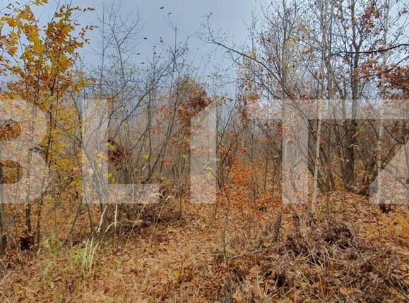 Teren de vânzare Someşu Rece - 142552TV | BLITZ Cluj-Napoca | Poza2