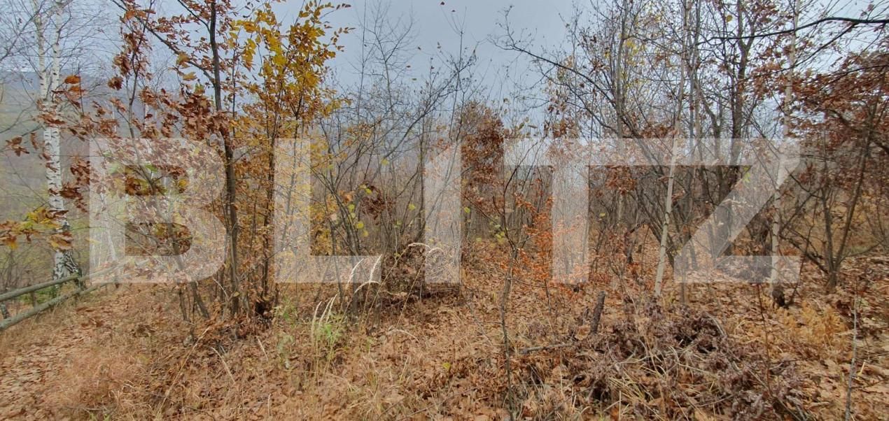 Teren de vânzare Someşu Rece - 142552TV | BLITZ Cluj-Napoca | Poza3