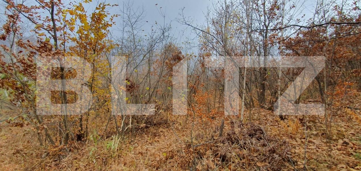 Teren de vânzare Someşu Rece - 142552TV | BLITZ Cluj-Napoca | Poza2