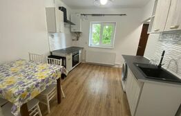 Apartament de o camera la cheie, etaj intermediar, zona Auchan Iris