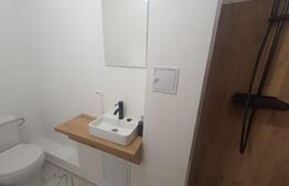 Apartament de o camera la cheie, etaj intermediar, zona Auchan Iris