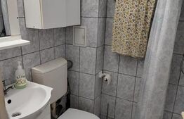 Garsoniera 21 mp,zona Marasti 