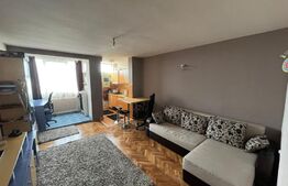 Grasoniera, 28mp, zona Brancusi ,complex Diana 