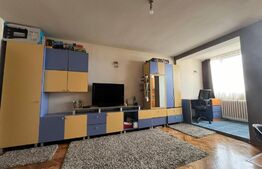 Grasoniera, 28mp, zona Brancusi ,complex Diana 