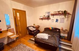 Apartament 1 camera, 22 mp, decomandat, zona Gheorgheni 