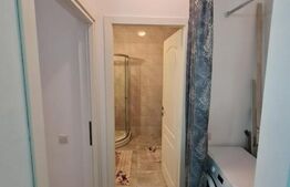 Apartament 2 camere, mobilat si utilat, etaj intermediar, zona Terra