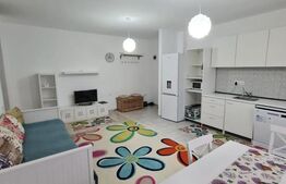 Apartament 2 camere, mobilat si utilat, etaj intermediar, zona Terra
