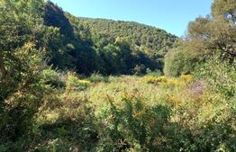 Teren intravilan in zona Valea Ierii, 9691 mp, front 84,71ml