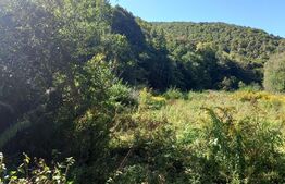 Teren intravilan in zona Valea Ierii, 9691 mp, front 84,71ml