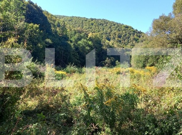 Teren de vânzare Valea Ierii - 142742TV | BLITZ Cluj-Napoca | Poza1