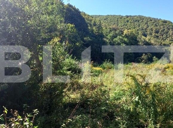 Teren de vânzare Valea Ierii - 142742TV | BLITZ Cluj-Napoca | Poza2