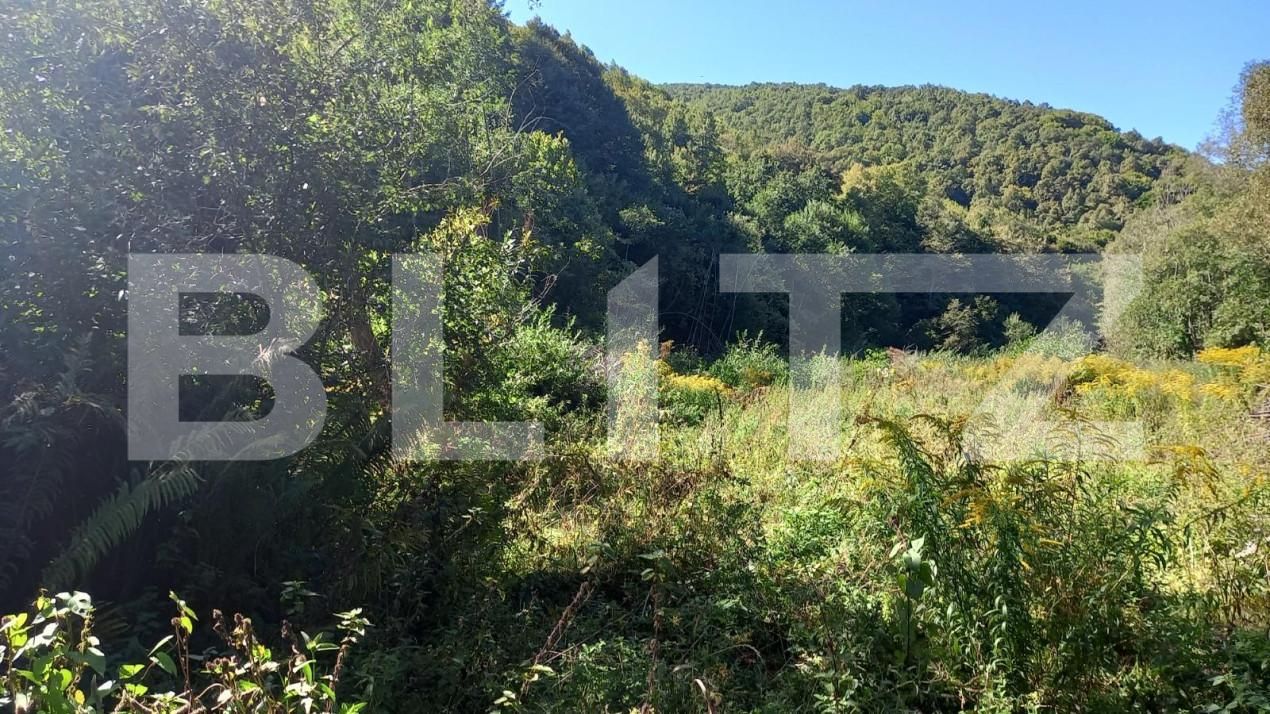 Teren de vânzare Valea Ierii - 142742TV | BLITZ Cluj-Napoca | Poza2