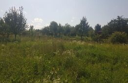 Teren intravilan Campenesti, 11600 mp, 43 ml front, pentru ansamblu de case!