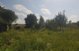 Teren intravilan Campenesti, 11600 mp, 43 ml front, pentru ansamblu de case!