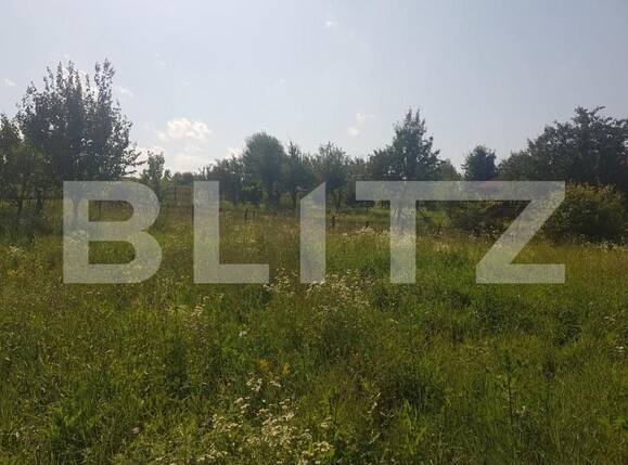 Teren de vânzare Apahida - 142756TV | BLITZ Cluj-Napoca | Poza3