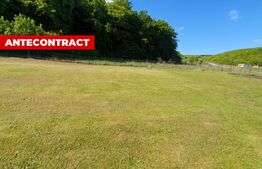 Teren intravilan Popesti 867 mp, langa padure 