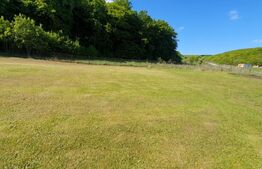 Teren intravilan Popesti 867 mp, langa padure 