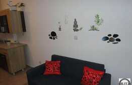 2 camere, 40 mp, imobil nou, totul nou, la prima inchiriere, zona Iulius Mall