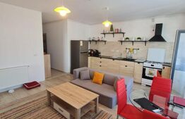 Apartament de 3 camere, 56 mp, terasa, parcare, zona Sub Cetate