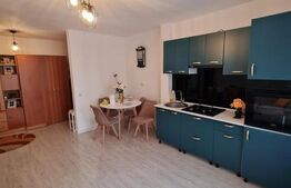 Apartament 2 camere, proaspat renovat, parcare, zona Terra