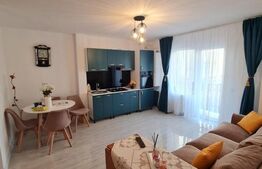 Apartament 2 camere, proaspat renovat, parcare, zona Terra