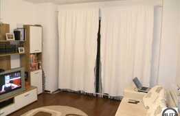 Superfinisat! 1 camera + Terasa! Mobilat!