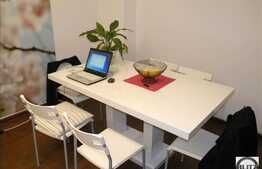 Superfinisat! 1 camera + Terasa! Mobilat!